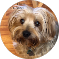 Debster's Profile Image