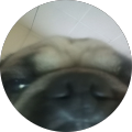 profile-photo
