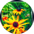 joyce leinbach's Profile Image
