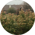 Joanna Espinoza's Profile Image