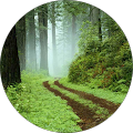 user-pic