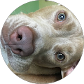 Anastasia Fink's Profile Image