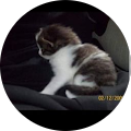 profile-photo