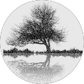 Earthfirst Horticulture