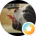 user-pic