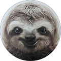 Jason's Profile Image