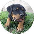 Kristine Jones's Profile Image