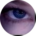 Lynne B's Profile Image