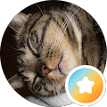 Denise Ranck's Profile Image