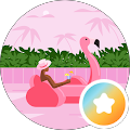 Paula Blackford's Profile Image