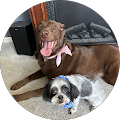 Beth Christopher's Profile Image