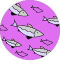 Sofia Steward's Profile Image