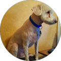 profile-photo