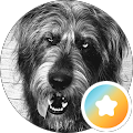 profile-photo