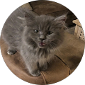 Emily Palmertree's Profile Image
