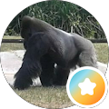 profile-photo