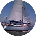 Jan Norman's Profile Image