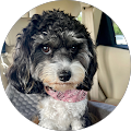 Tracy Herr's Profile Image