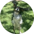 tomatoffs's Profile Image