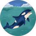 Shannon Freeland's Profile Image