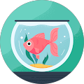Lois Bazar's Profile Image