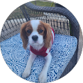 Rosalie Alday's Profile Image