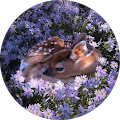 Profile Photo of Kathleen Gingerich