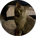 Katrin Patience's Profile Image