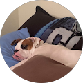 Reviewer profile photo Reviewer profile photo
