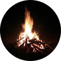 Reviewer profile photo