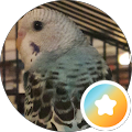 Reviewer profile photo
