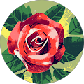 Reviewer profile photo