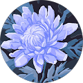 Reviewer profile photo