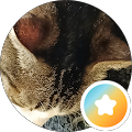 Reviewer profile photo