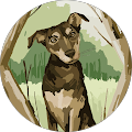 Reviewer profile photo