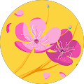 Reviewer profile photo