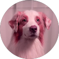 Reviewer profile photo Reviewer profile photo