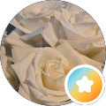 Reviewer profile photo Reviewer profile photo