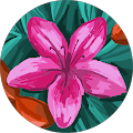Reviewer profile photo