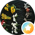 Reviewer profile photo