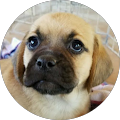 Reviewer profile photo
