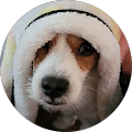 Reviewer profile photo Reviewer profile photo
