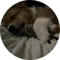 Reviewer profile photo Reviewer profile photo