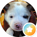 Reviewer profile photo Reviewer profile photo