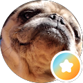 Ed O's Profile Image