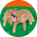 Joanna Faust's Profile Image