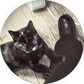 kris dresen's Profile Image