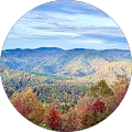 Marcellus