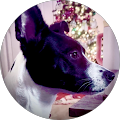 Malachi Davis's Profile Image