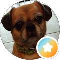 magali morales's Profile Image